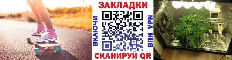 Виды наркотиков купить Советск Псилоцибиновые грибы  КОКАИН  СОЛЬ  МЕФ  Конопля 